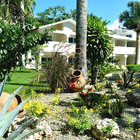 Tropical Casa Laguna كاباريتي المظهر الخارجي الصورة