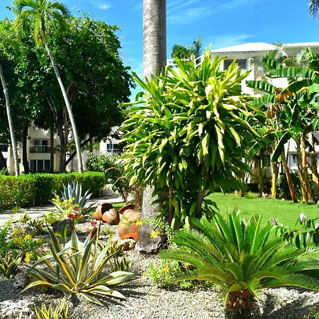 Tropical Casa Laguna كاباريتي المظهر الخارجي الصورة