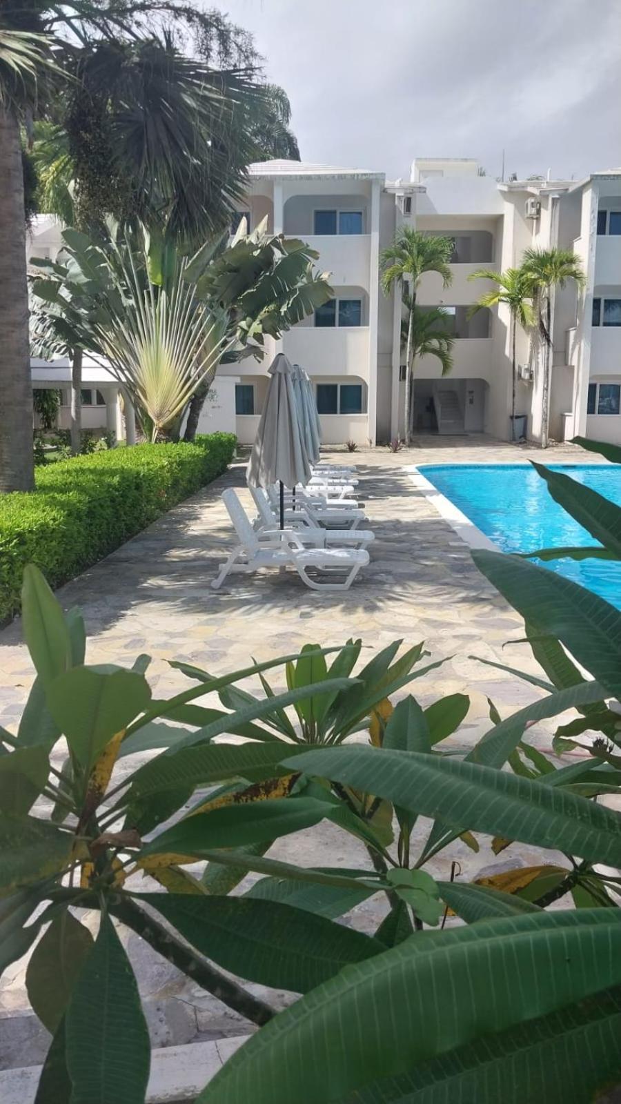 Tropical Casa Laguna كاباريتي المظهر الخارجي الصورة