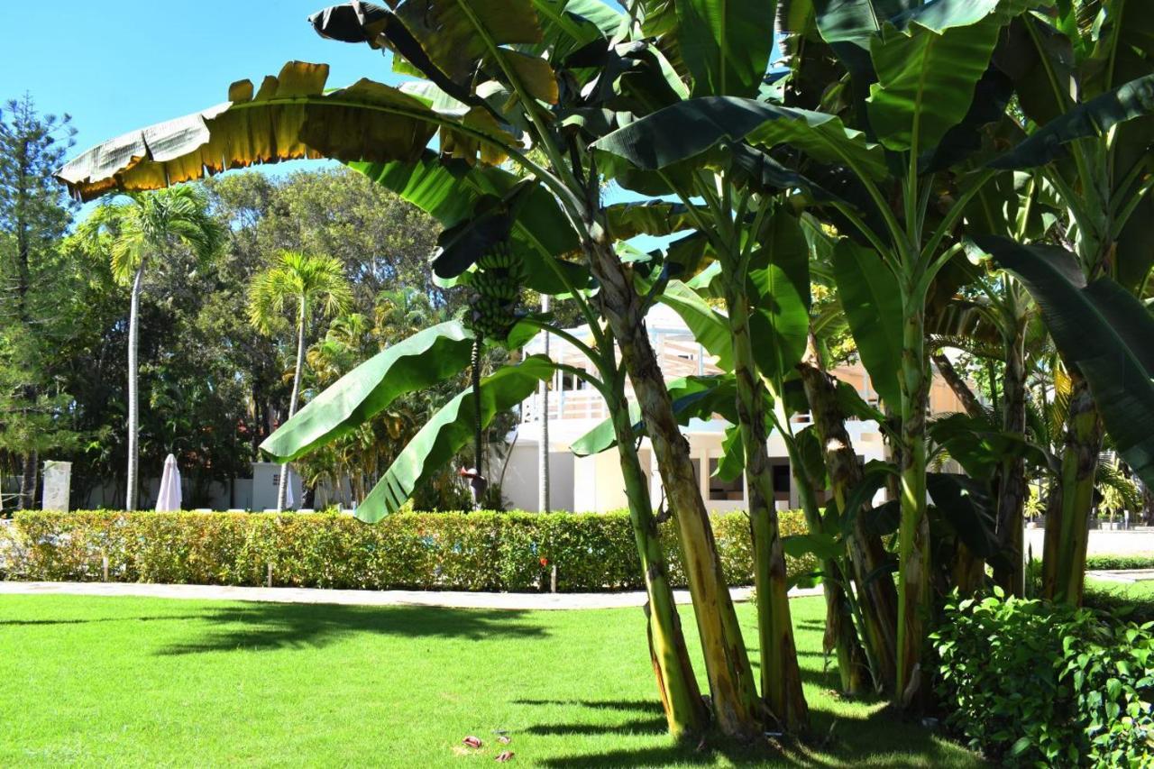 Tropical Casa Laguna كاباريتي المظهر الخارجي الصورة