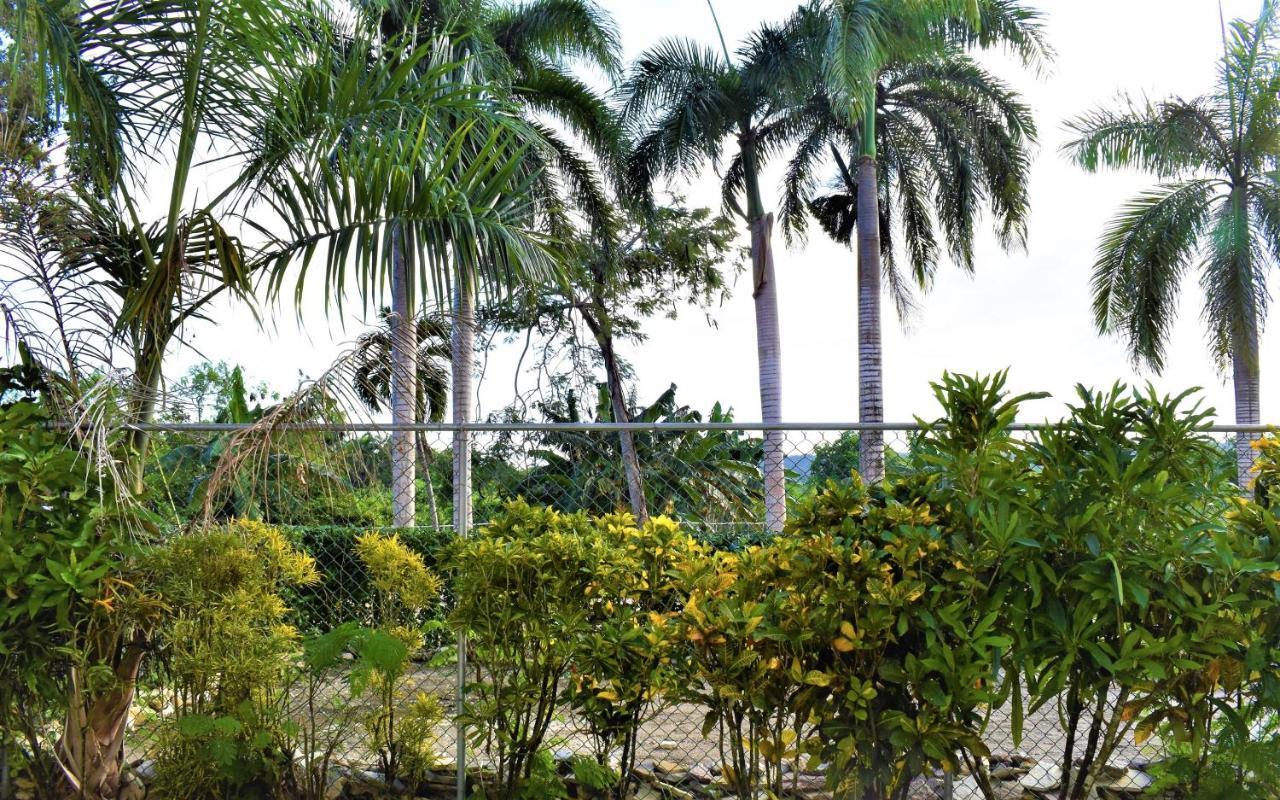 Tropical Casa Laguna كاباريتي المظهر الخارجي الصورة